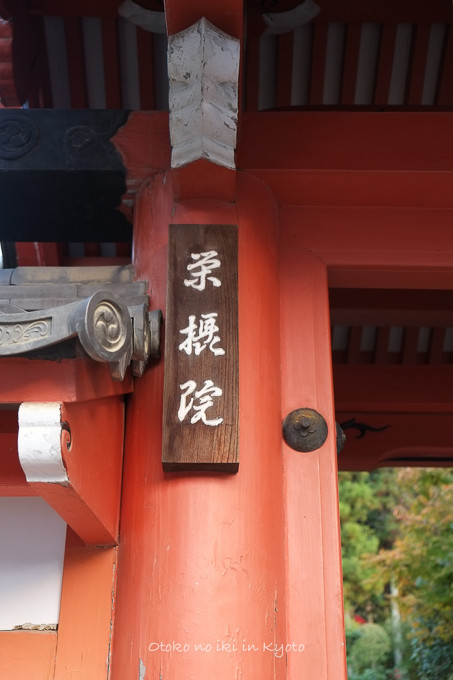 0602京都11月-12