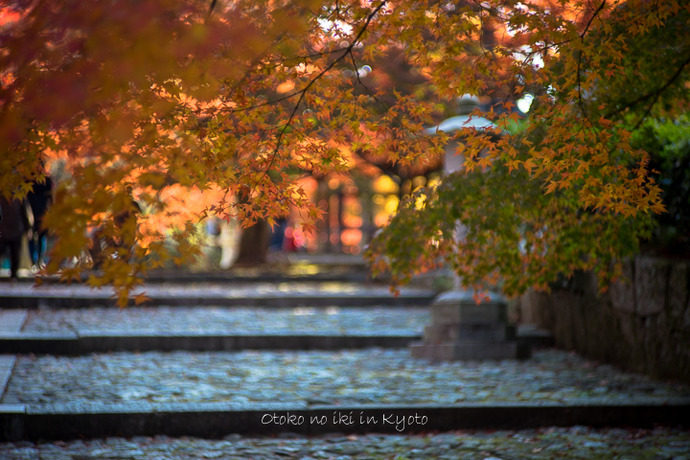 1201KYOTO11月-3