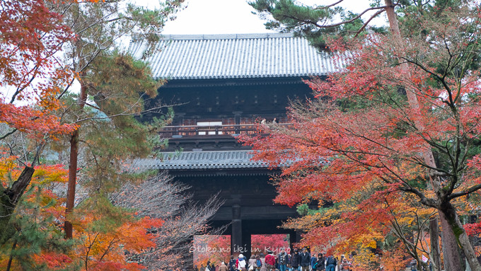 1119紅葉11月-12