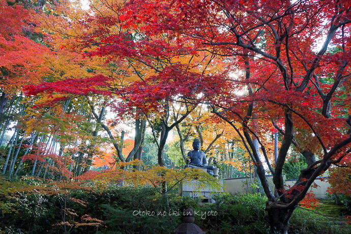 1028栄摂院11月-3