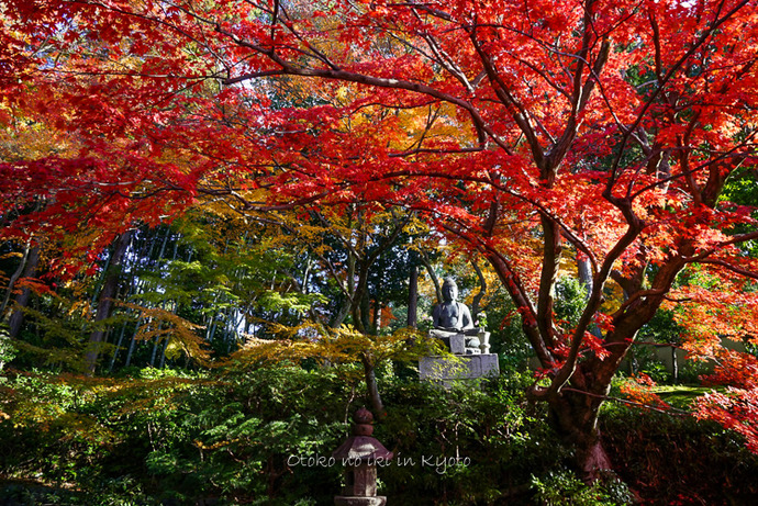 1123京都11月-14