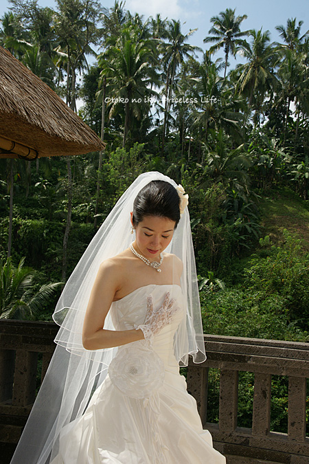 0801-1Setting