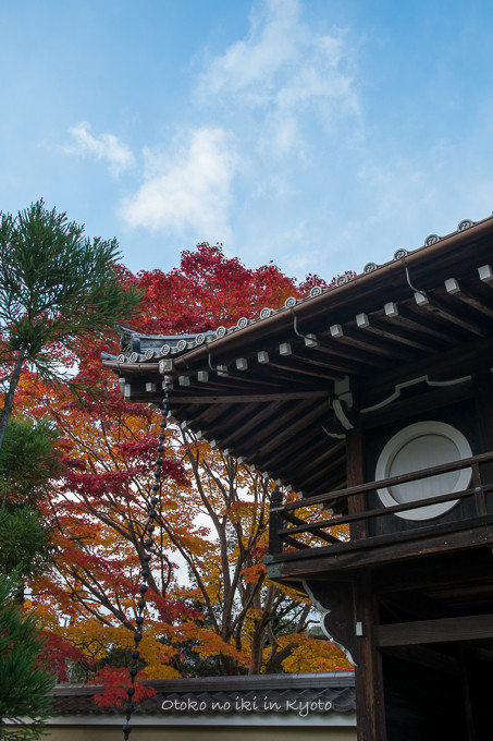 1130源光庵11月-3