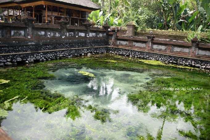 1107-1寺湧き水