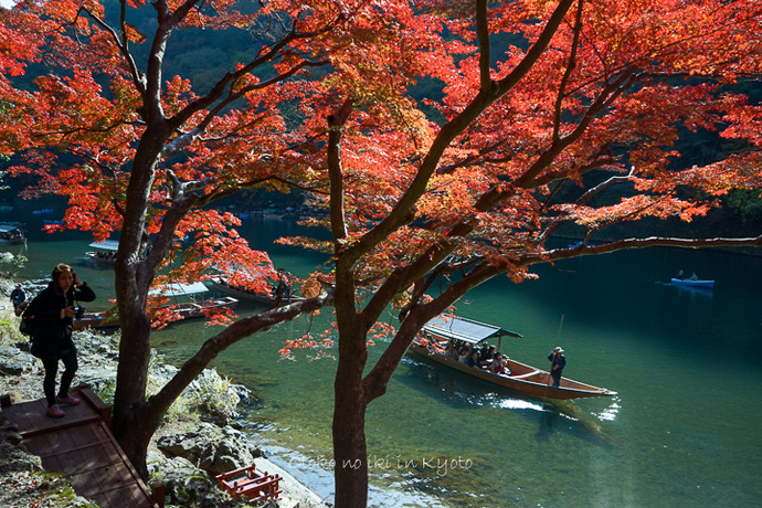 1201KYOTO11月-6