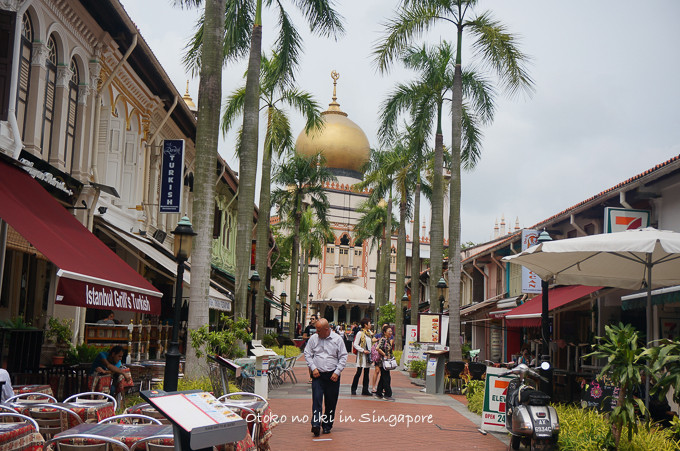 0113Singapore1月-32