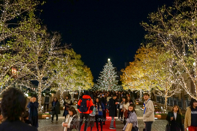 1120Fashion11月-11