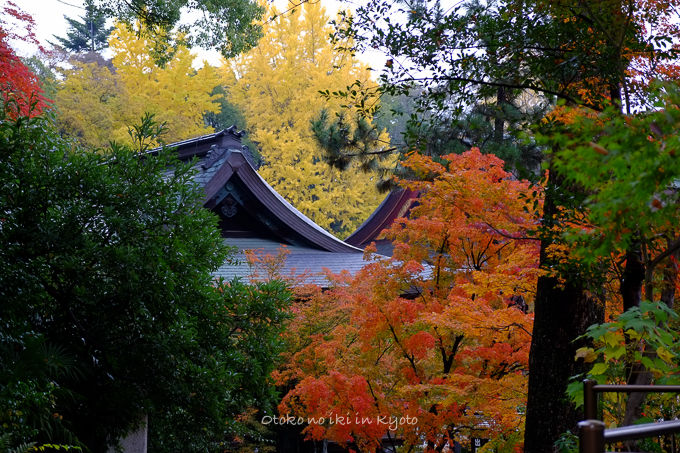 11月京都2012北野天満宮-10