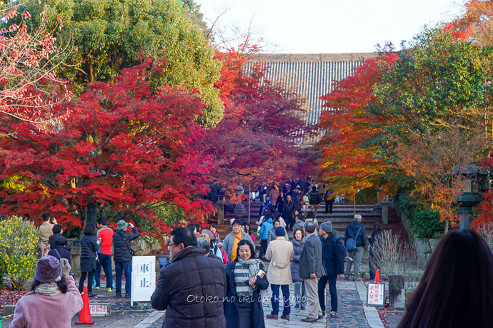 京都112511月-15