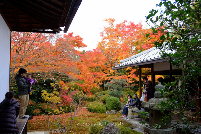 1130源光庵11月-6