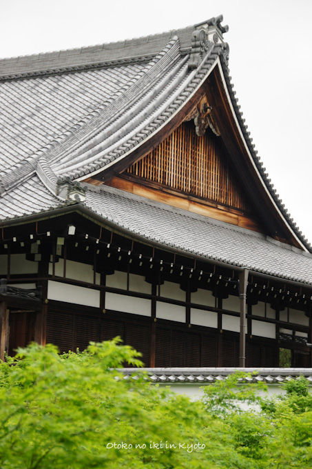 20120501-DSC04676