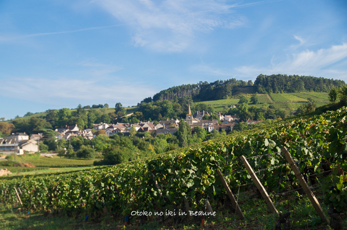 0822Corton9月-14