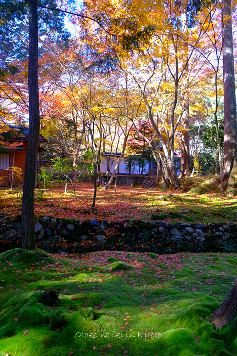 1102苔寺11月-14