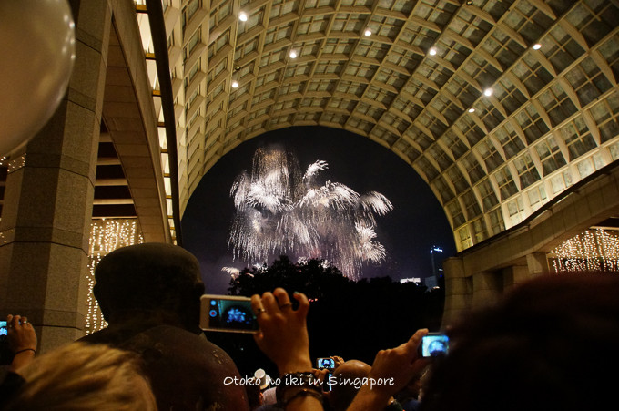 0113Singapore1月-29
