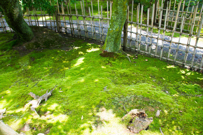20120905高台寺-3