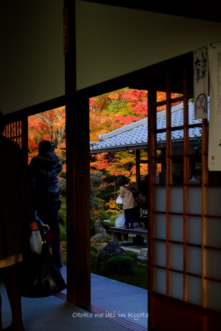 1130源光庵11月-15