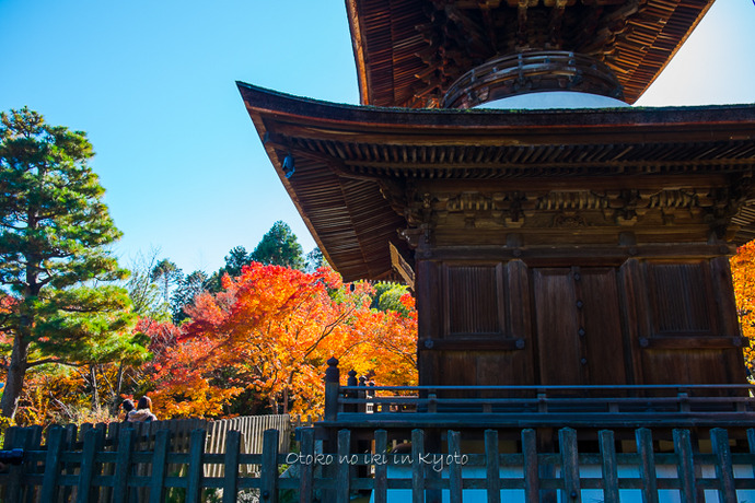 1110常寂光寺11月-8