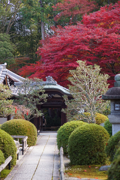 1028栄摂院11月-1