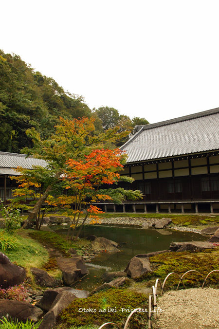 1116-5Kamakura