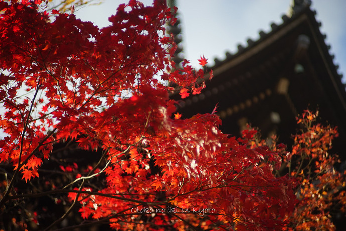 1123京都_2_11月-8