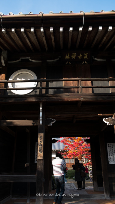 1130源光庵11月-23
