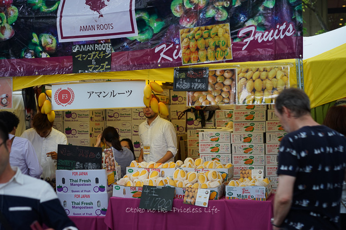 0516タイフェス5月-10