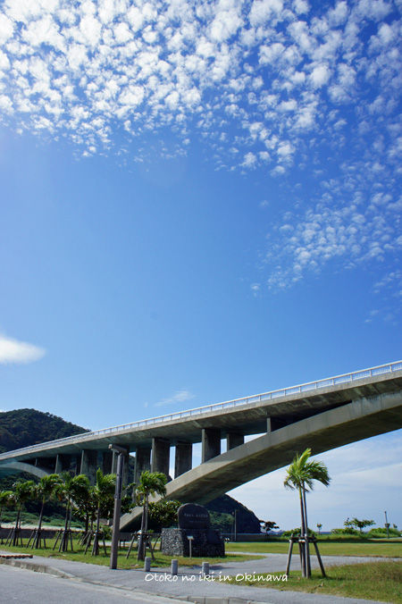 1110-18阿嘉島