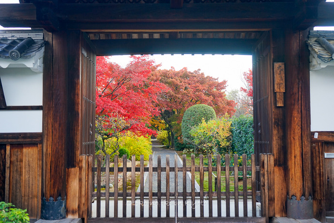 1117妙心寺11月-20