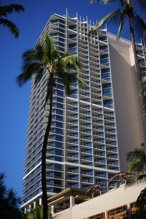 201412_Hawaii12月-66