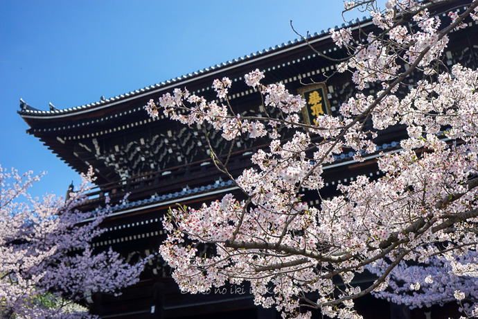 0407京都4月-25