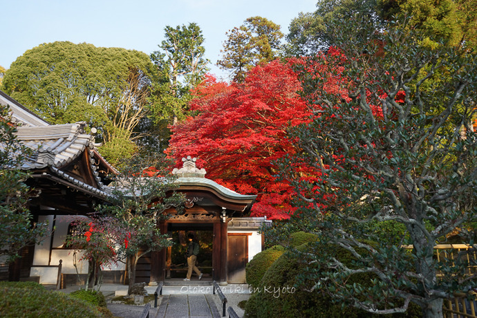 1028栄摂院_211月-1