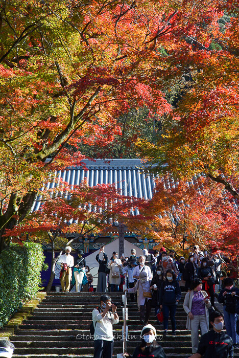kyoto20202020-18