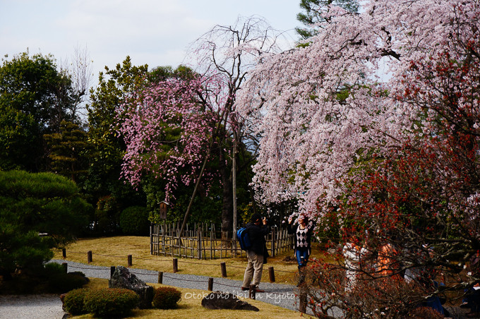 0324京都3月-25