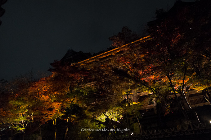 1123清水寺11月-14