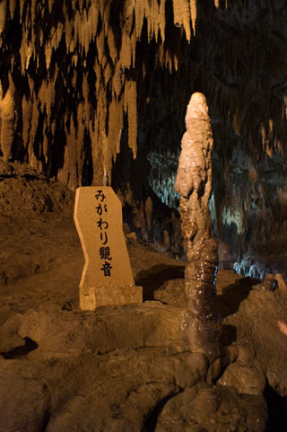 長根
