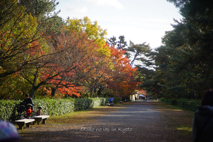 1123京都11月-11