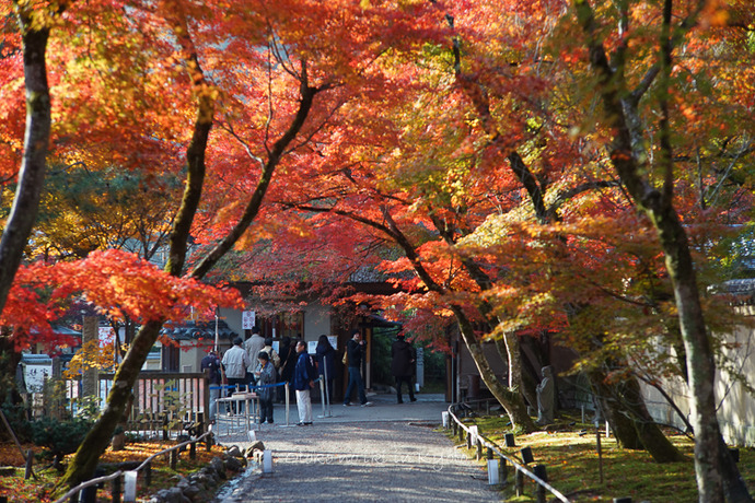 1215宝厳院11月-92