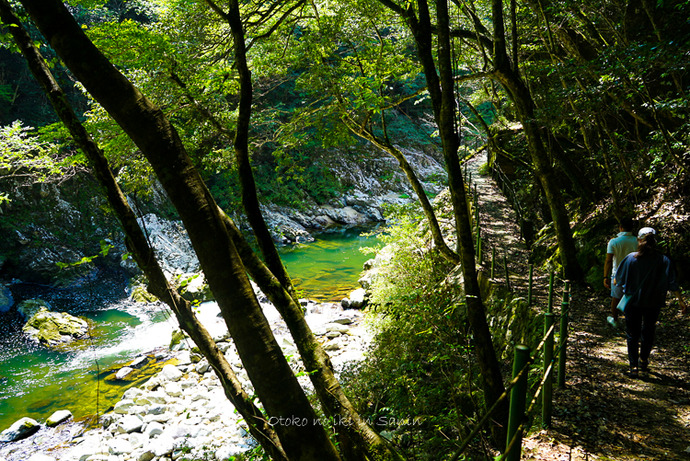 ���и�2020-5