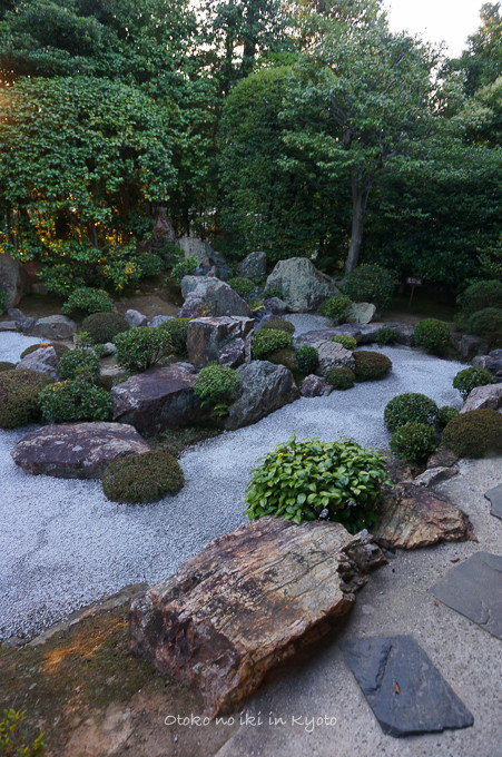 0712退蔵院7月-17