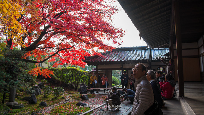 0602京都11月-8