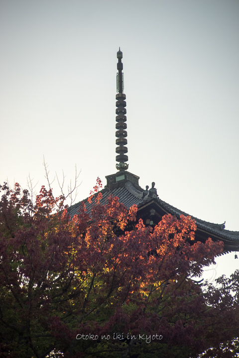 1020KYOTO10月-85