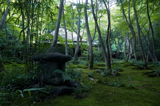 祇王寺