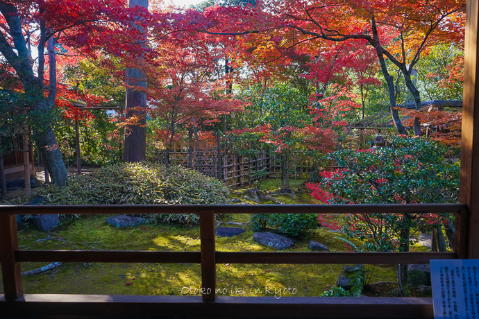 1117妙心寺11月-9