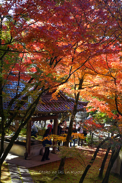 kyoto20202020-15