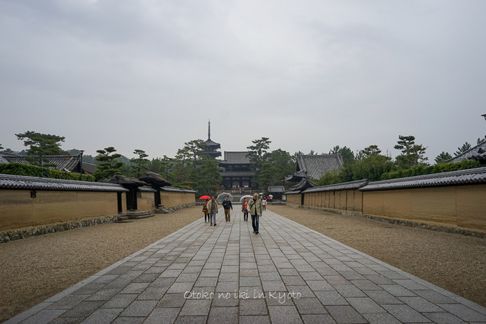 1214Kyoto11月-67