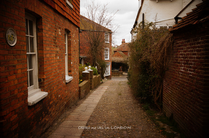 0404RYE23月-17