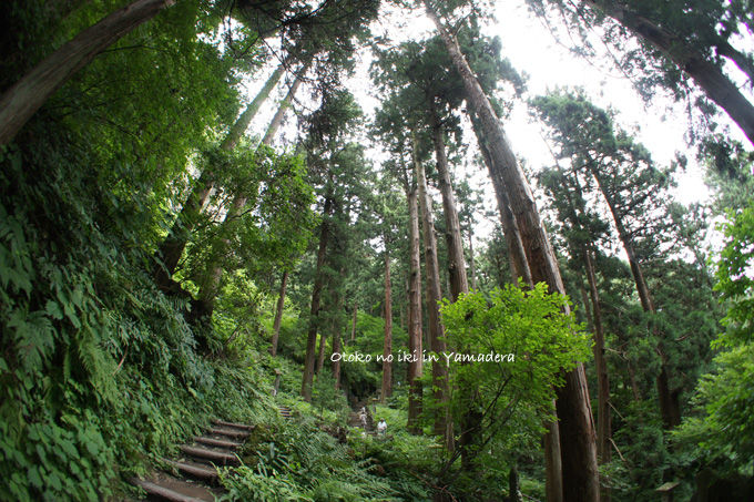 1005-25山寺