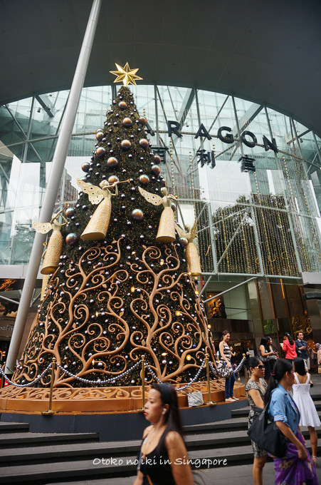0113Singapore1月-37