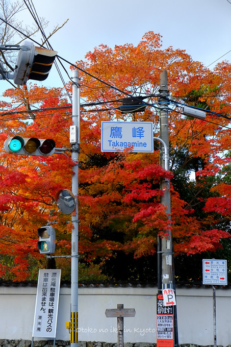 1130源光庵11月-27