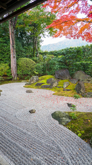 0404京都紅葉11月-17
